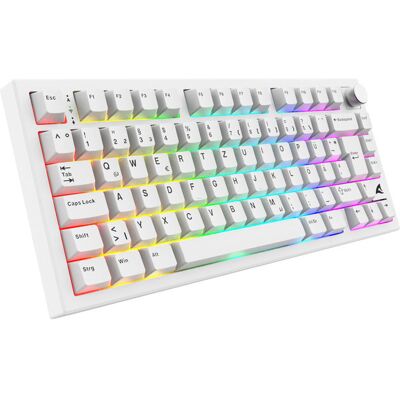SKILLER SGK55W Mechanical Gaming Keyboard (White, German Layout, Sharkoon Linear Switches) SKILLER SGK55W Mechanical Gaming Keyboard (White, German Layout, Sharkoon Linear Switches)