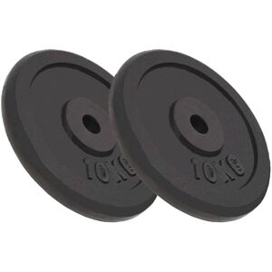 vidaXL 2x Weight Plates 2x10 kg Cast Iron Fitness Gym for Dumbbell Lifting Bars