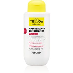 ALFAPARF MILANO YE Color Care Conditioner 500 ml ALFAPARF MILANO YE Color Care Conditioner 500 ml
