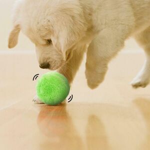 KütyüBazár.hu Kutyajáték, kutya labda, interaktív labda kutyáknak