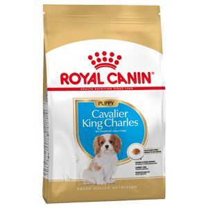 Royal Canin Breed 1,5kg Royal Canin Spaniel Puppy száraz kutyatáp