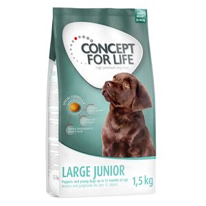 Concept for Life 1,5kg Concept for Life Large Junior száraz kutyatáp