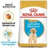 Royal Canin Labrador Retriever Puppy - Labrador Retriever kölyök kutya száraz táp 3 kg