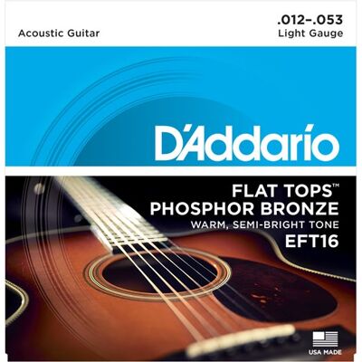 D'Addario EFT16 D'Addario EFT16