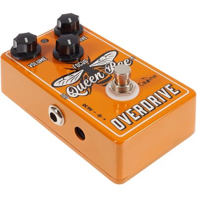 Caline CP-503 Queen Bee Overdrive Caline CP-503 Queen Bee Overdrive