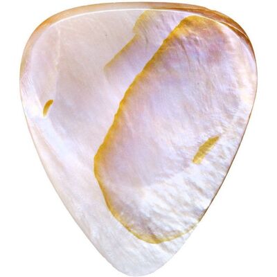 Timber Tones Shell Tones Mussel Shell Timber Tones Shell Tones Mussel Shell