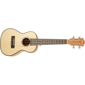 Cascha HH 2151 Concert Mahogany Ukulele Set Cascha HH 2151 Concert Mahogany Ukulele Set