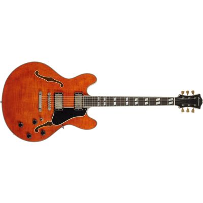 Eastman T59 TV-AMB Eastman T59 TV-AMB