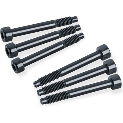 Schaller LockMeister 6 1 set of 6 string locking screws M4 x 34 Schaller LockMeister 6 1 set of 6 string locking screws M4 x 34