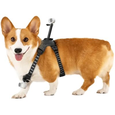 INSTA360 Pet Harness Mount M méret 106010500002 INSTA360 Pet Harness Mount M méret 106010500002