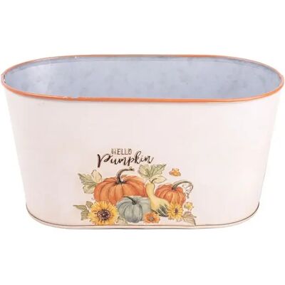 IRIS 81092 Bádog kaspó ovál tökök krém narancssárga 23x12 cm IRIS 81092 Bádog kaspó ovál tökök krém narancssárga 23x12 cm