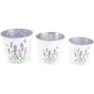 IRIS 81100 Bádog kaspó 3 db levendula mintás fehér 11.5-15cm IRIS 81100 Bádog kaspó 3 db levendula mintás fehér 11.5-15cm