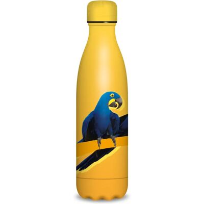 ARS UNA 55811637 Duplafalú fémkulacs-500 ml - Máté Bence-parrot mintás ARS UNA 55811637 Duplafalú fémkulacs-500 ml - Máté Bence-parrot mintás