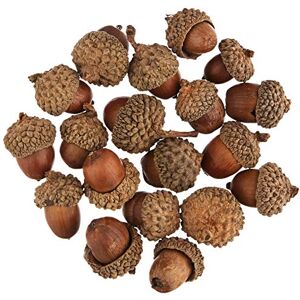 Baker Ross Eicheln (50 Stück), Natur, 150 g Baker Ross Eicheln (50 Stück), Natur, 150 g