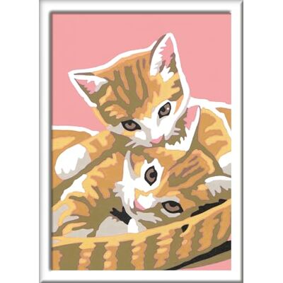 Ravensburger CreArt Katzenbabys Malen nach Zahlen ab 9 Jahre Malset mit Rahmen, Pinsel und Acrylfarben, Geschenk für Mädchen und Jungen Ravensburger CreArt Katzenbabys Malen nach Zahlen ab 9 Jahre Malset mit Rahmen, Pinsel und Acrylfarben, Geschenk für Mädchen und Jungen