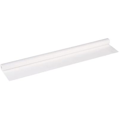Canson 200012104 Hochtransparentes Zeichenpapier, 0.750 x 20 m transparent Canson 200012104 Hochtransparentes Zeichenpapier, 0.750 x 20 m transparent