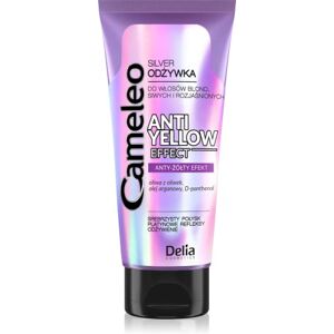 Cameleo Silber-Spülung keine Gelbtöne für blondes, graues, weißes Haar UV-Schutz tägliche Anwendung lila Intensiv-Spülung für gesträhntes & gebleichtes Haar ohne Parabene 200 ml Cameleo Silber-Spülung keine Gelbtöne für blondes, graues, weißes Haar UV-Schutz tägliche Anwendung lila Intensiv-Spülung für gesträhntes & gebleichtes Haar ohne Parabene 200 ml