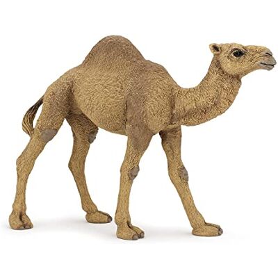 Papo Dromedar-Figur Spielzeug, Wildtiere-Kollektion, ab 3 Jahren Ein Höcker angepasst an die heiße Wüste handbemalt Sammlerstück originelle Geschenkidee für Mädchen und Jungen heute Papo Dromedar-Figur Spielzeug, Wildtiere-Kollektion, ab 3 Jahren Ein Höcker angepasst an die heiße Wüste handbemalt Sammlerstück originelle Geschenkidee für Mädchen und Jungen heute