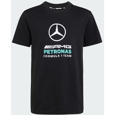 adidas Unisex Kids Mercedes AMG Petronas Formula 1 Team DNA Graphic Tee, Black, 11-12 Years adidas Unisex Kids Mercedes AMG Petronas Formula 1 Team DNA Graphic Tee, Black, 11-12 Years