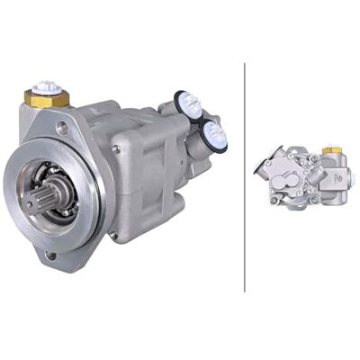 HELLA 8TL 359 004-091 Servopumpe Hydraulikpumpe Lenkung hydraulisch Kompatibel mit DAF XF 105 1692049 1797693 HELLA 8TL 359 004-091 Servopumpe Hydraulikpumpe Lenkung hydraulisch Kompatibel mit DAF XF 105 1692049 1797693