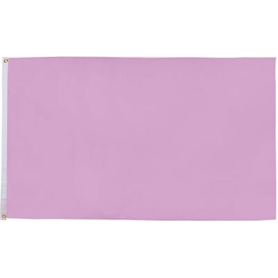 AZ FLAG Flagge Einfarbig Rosa 150x90 cm Einfarbig Fahne 100% Polyester mit Messing-Ösen 110g AZ FLAG Flagge Einfarbig Rosa 150x90 cm Einfarbig Fahne 100% Polyester mit Messing-Ösen 110g