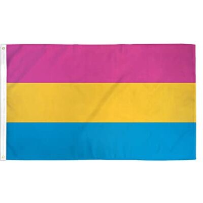 AZ FLAG Flagge Pansexualität 90x60 cm Pansexuellen Omnisexualität Fahne 100% Polyester mit Messing-Ösen 50g AZ FLAG Flagge Pansexualität 90x60 cm Pansexuellen Omnisexualität Fahne 100% Polyester mit Messing-Ösen 50g