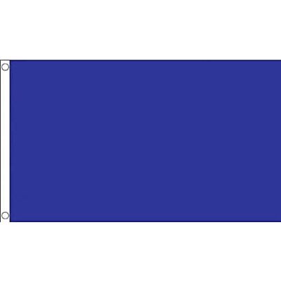 AZ FLAG Flagge Blauer Schiedsrichter 150x90 cm Motorsport Rennleitung Hellblau Fahne 100% Polyester mit Messing-Ösen 110g AZ FLAG Flagge Blauer Schiedsrichter 150x90 cm Motorsport Rennleitung Hellblau Fahne 100% Polyester mit Messing-Ösen 110g