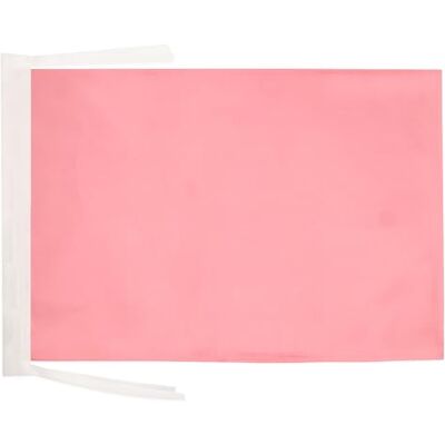 AZ FLAG Flagge Einfarbig Rosa 45x30 cm Mit Kordel Einfarbig Fahne 30 x 45 Cm Flaggen AZ FLAG Flagge Einfarbig Rosa 45x30 cm Mit Kordel Einfarbig Fahne 30 x 45 Cm Flaggen