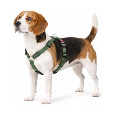 Flamingo hundegeschirr ziggi kaki H-Form größe M 45-65 cm / 55-70 cm 20 mm Nylon hundegeschirr verstellbar Flamingo hundegeschirr ziggi kaki H-Form größe M 45-65 cm / 55-70 cm 20 mm Nylon hundegeschirr verstellbar