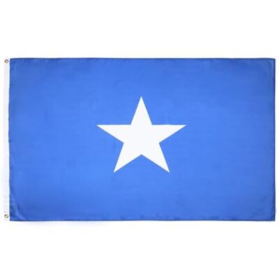 AZ FLAG Flagge Westflorida 90x60 cm West Florida Fahne 100% Polyester mit Messing-Ösen UV-beständig Vives Farben 50g AZ FLAG Flagge Westflorida 90x60 cm West Florida Fahne 100% Polyester mit Messing-Ösen UV-beständig Vives Farben 50g