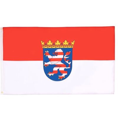 AZ FLAG Flagge Thüringen 90x60 cm Thüringen Fahne 100% Polyester mit Messing-Ösen 50g AZ FLAG Flagge Thüringen 90x60 cm Thüringen Fahne 100% Polyester mit Messing-Ösen 50g