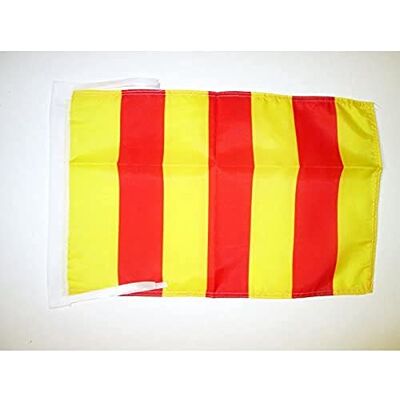 AZ FLAG Flagge Grafschaft Provence 45x30 cm Mit Kordel Comté De Provence Fahne 30 x 45 Cm Flaggen AZ FLAG Flagge Grafschaft Provence 45x30 cm Mit Kordel Comté De Provence Fahne 30 x 45 Cm Flaggen