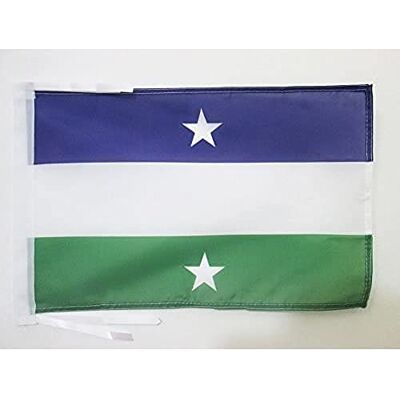 AZ FLAG Flagge Königreich Von Araukanien Und Patagonien Mit Sterne 45x30 cm Mit Kordel Nueva Francia Fahne 30 x 45 Cm Flaggen AZ FLAG Flagge Königreich Von Araukanien Und Patagonien Mit Sterne 45x30 cm Mit Kordel Nueva Francia Fahne 30 x 45 Cm Flaggen
