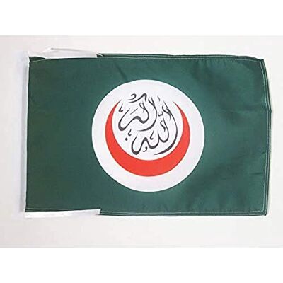 AZ FLAG Flagge Organisation Für Islamische Zusammenarbeit 45x30 cm Mit Kordel Oic Fahne 30 x 45 Cm Flaggen AZ FLAG Flagge Organisation Für Islamische Zusammenarbeit 45x30 cm Mit Kordel Oic Fahne 30 x 45 Cm Flaggen