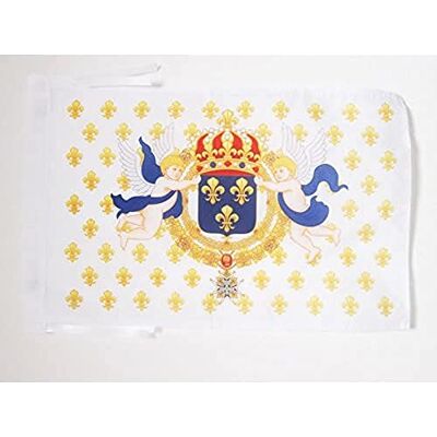 AZ FLAG Flagge König Von Frankreich Lilien 45x30 cm Mit Kordel Königreich Frankreich Fahne 30 x 45 Cm Flaggen AZ FLAG Flagge König Von Frankreich Lilien 45x30 cm Mit Kordel Königreich Frankreich Fahne 30 x 45 Cm Flaggen