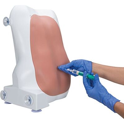 3B Scientific Epidural- und Spinalinjektions Trainer 3B Scientific Epidural- und Spinalinjektions Trainer