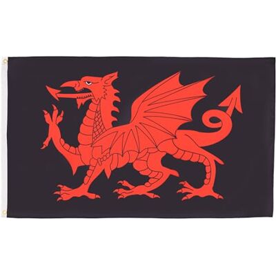 AZ FLAG Flagge Wales Schwarzer Drache 90x60 cm Walisische Fahne 100% Polyester mit Messing-Ösen 50g AZ FLAG Flagge Wales Schwarzer Drache 90x60 cm Walisische Fahne 100% Polyester mit Messing-Ösen 50g