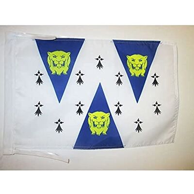 AZ FLAG Flagge Grafschaft Shropshire Alt 45x30 cm Mit Kordel Shropshire Fahne 30 x 45 Cm Flaggen AZ FLAG Flagge Grafschaft Shropshire Alt 45x30 cm Mit Kordel Shropshire Fahne 30 x 45 Cm Flaggen