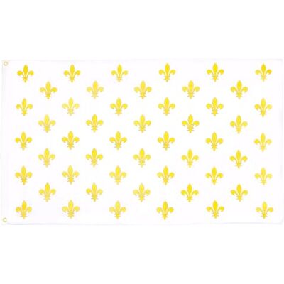 AZ FLAG Flagge Blume Gold- Und Weiss Lilie 90x60 cm Lilie Fahne 100% Polyester mit Messing-Ösen 50g AZ FLAG Flagge Blume Gold- Und Weiss Lilie 90x60 cm Lilie Fahne 100% Polyester mit Messing-Ösen 50g