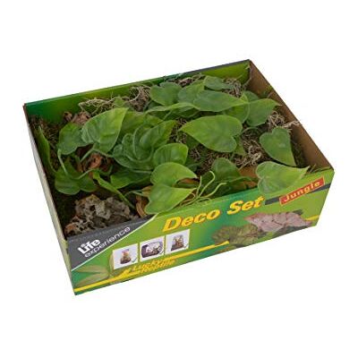 Lucky Reptile Life Experience Deco Set für kleine Nano-Terrarien Lucky Reptile Life Experience Deco Set für kleine Nano-Terrarien