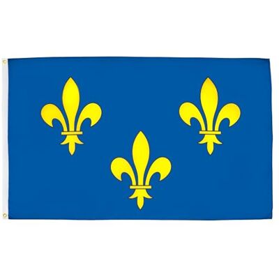 AZ FLAG Flagge Ile-de-France 90x60 cm Paris Fahne 100% Polyester mit Messing-Ösen UV-beständig Vives Farben 50g AZ FLAG Flagge Ile-de-France 90x60 cm Paris Fahne 100% Polyester mit Messing-Ösen UV-beständig Vives Farben 50g