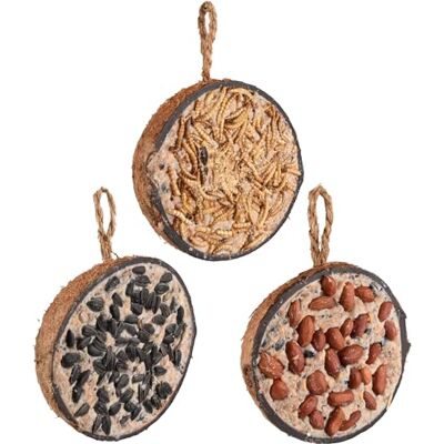Flamingo Wildvogelfutter – Premium-Qualität – Halbe Kokosnüsse gefüllt mit Saaten, Nüssen, Mehlwürmern & Sonnenblumenkernen – Vogelfutter für Wildvögel 600 g Flamingo Wildvogelfutter – Premium-Qualität – Halbe Kokosnüsse gefüllt mit Saaten, Nüssen, Mehlwürmern & Sonnenblumenkernen – Vogelfutter für Wildvögel 600 g