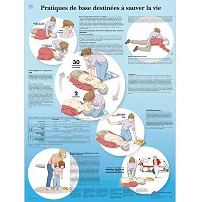 3B Scientific – Laminierte Erste Hilfe Tafel – UV- & Staubgeschütztes Lehrposter für Studium, Lehre & Kliniken 3B Scientific – Laminierte Erste Hilfe Tafel – UV- & Staubgeschütztes Lehrposter für Studium, Lehre & Kliniken