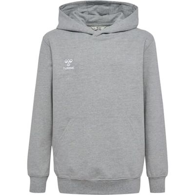 hummel Uni_Kids Hmlgo 2.0 Hoodie Kids Hooded Sweatshirt hummel Uni_Kids Hmlgo 2.0 Hoodie Kids Hooded Sweatshirt