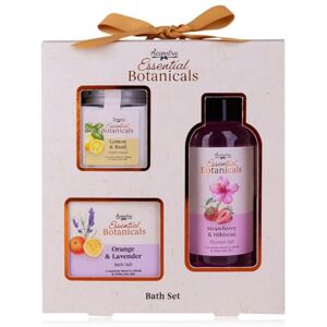 accentra Badeset ESSENTIAL BOTANICALS in Geschenkbox, Pflegeset mit 100 ml Duschgel, 55 ml Handcreme und 50 g Badesalz, Wellness Geschenkset für Frauen zu Geburtstag und Muttertag accentra Badeset ESSENTIAL BOTANICALS in Geschenkbox, Pflegeset mit 100 ml Duschgel, 55 ml Handcreme und 50 g Badesalz, Wellness Geschenkset für Frauen zu Geburtstag und Muttertag