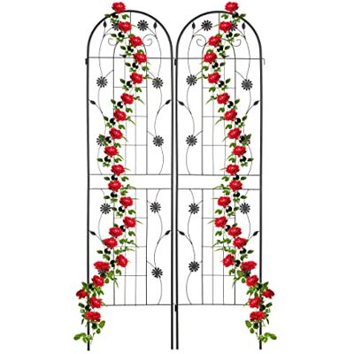 Relaxdays Rankgitter, 2er Set, 200 x 50 x 1,5 cm, Metall, Rankhilfe für Kletterpflanzen, freistehend, zum Stecken, schwarz Relaxdays Rankgitter, 2er Set, 200 x 50 x 1,5 cm, Metall, Rankhilfe für Kletterpflanzen, freistehend, zum Stecken, schwarz