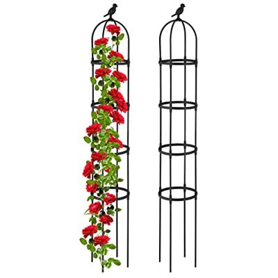 Relaxdays Rankhilfe Obelisk, 2er Set, 188x30 cm, Ranksäule für Kletterpflanzen, Metall, freistehend, Rosenturm, schwarz Relaxdays Rankhilfe Obelisk, 2er Set, 188x30 cm, Ranksäule für Kletterpflanzen, Metall, freistehend, Rosenturm, schwarz