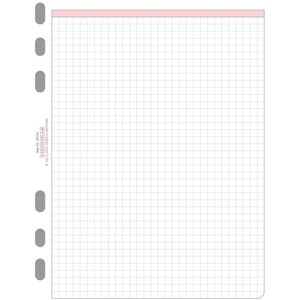 Avery Chronoplan 50304 karierte Kalendereinlagen zum Nachfüllen für Terminplaner (A5-Format, 50 karierte Blätter mit Universallochung, 80g/m², ideal für Notizen und Skizzen, für viele Organizer) Avery Chronoplan 50304 karierte Kalendereinlagen zum Nachfüllen für Terminplaner (A5-Format, 50 karierte Blätter mit Universallochung, 80g/m², ideal für Notizen und Skizzen, für viele Organizer)