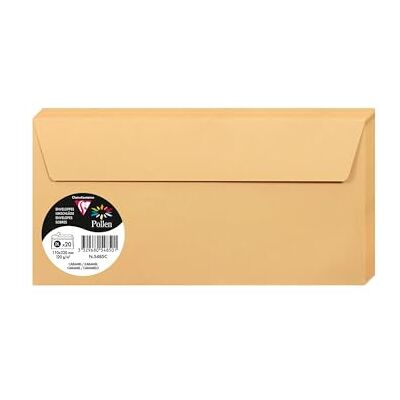 Clairefontaine 5485C Packung mit 20 Umschläge Pollen, Format DL, 110 x 220 mm, 120g, ideal für Einladungen und Korrespondenz, Karamel, 1 Pack Clairefontaine 5485C Packung mit 20 Umschläge Pollen, Format DL, 110 x 220 mm, 120g, ideal für Einladungen und Korrespondenz, Karamel, 1 Pack