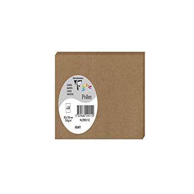 Clairefontaine 29011C Packung mit 25 Karten Pollen 8,2x12,8 cm 210g, Kraftbraun, 1 Pack Clairefontaine 29011C Packung mit 25 Karten Pollen 8,2x12,8 cm 210g, Kraftbraun, 1 Pack